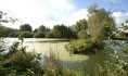 Etang d'Amaury, Hergnies © Samuel Dhote