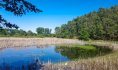 site de la canarderie - Chabaud Latour Condé sur l'Escaut