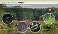 jeu interactif sur les zones humides en Scarpe-Escaut